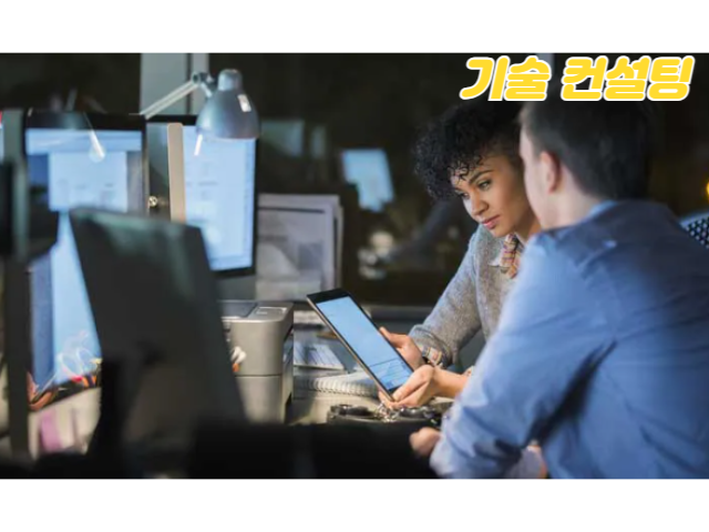 기술 컨설팅