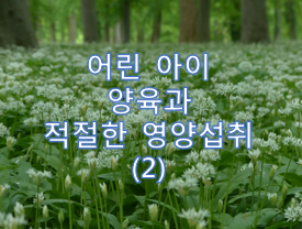  어린 아이의 양육과 적절한 영양 섭취(2)