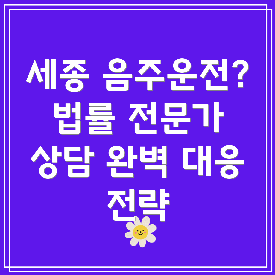 세종시 음주운전 변호사
