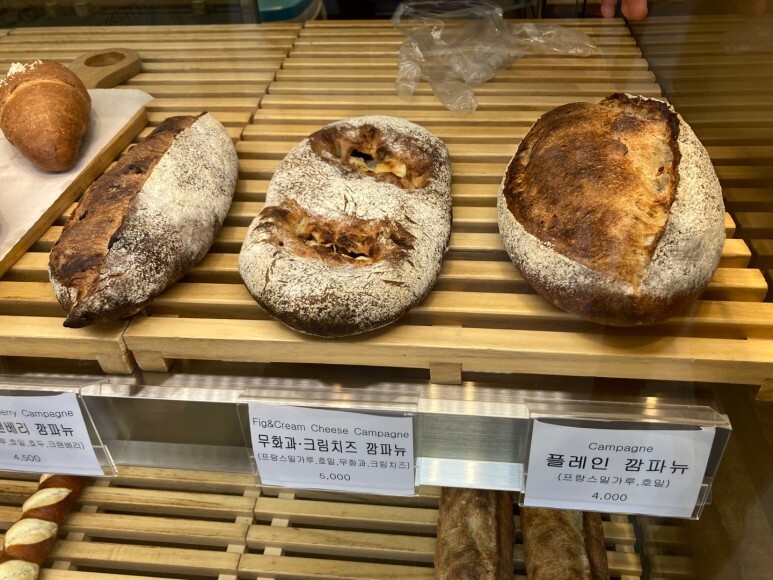 파린두스 이미지