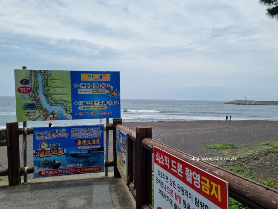 함께라면 전통테우 탑승 후기 제주 쇠소깍 어린 아이들과 38