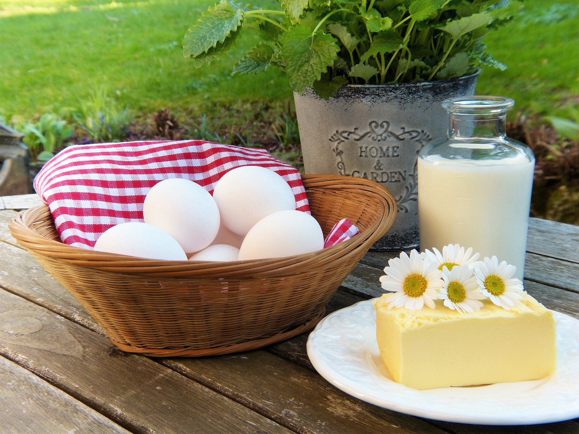우유-계란-치즈