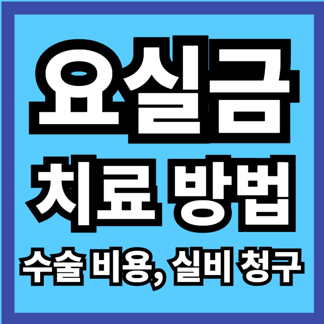 요실금 치료방법&#44; 요실금 팬티&#44; 요실금 증상&#44; 요실금 수술&#44; 요실금 수술비용&#44; 요실금 수술 후 회복기간&#44; 요실금 치료기&#44; 요실금 패드&#44; 요실금 수술 실비 청구&#44; 요실금 약&#44; 요실금 팬티 귀저귀&#44; 요실금 수술 의료실비