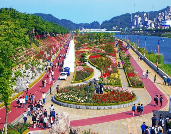 2025 삼척 장미공원 장미축제 일정 주차 볼거리_6