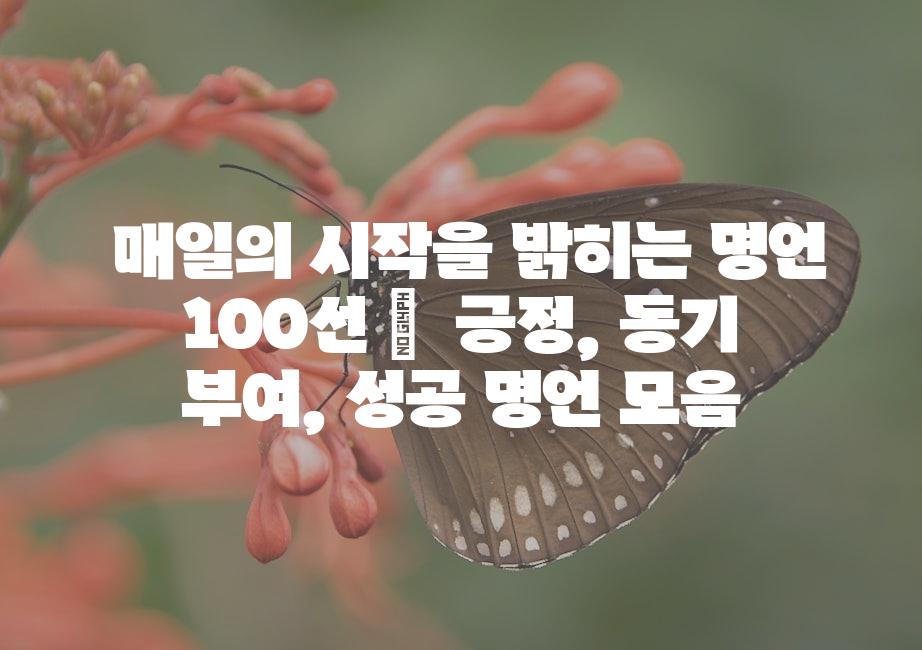 샘플 (51)