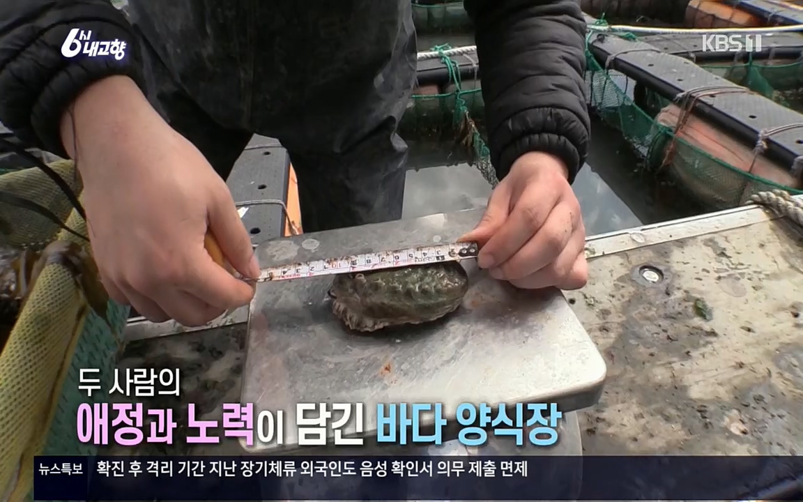 6시 내고향.E7508.220412p.H264-F1RST.mp4_20220417_192527.073.jpg