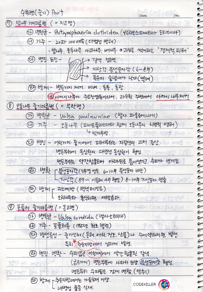  [수목병리학] 곰팡이에 의한 수목병 (줄기에 나타나는 수목병) 밤나무 가지마름병, 오동나무 줄기마름병, 포플러 줄기마름병, 일본잎갈나무(낙엽송) 가지끝마름병, 편백화백 가지마름병, 벚나..