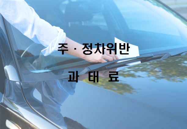  노다지네 잡학다식
