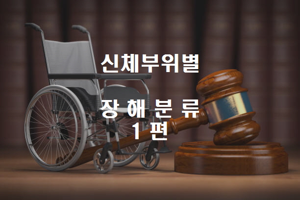  노다지네 잡학다식