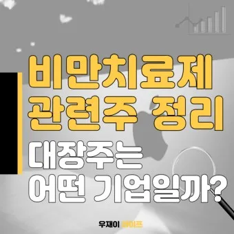 비만치료제 대장주 관련주 TOP5 총정리_18