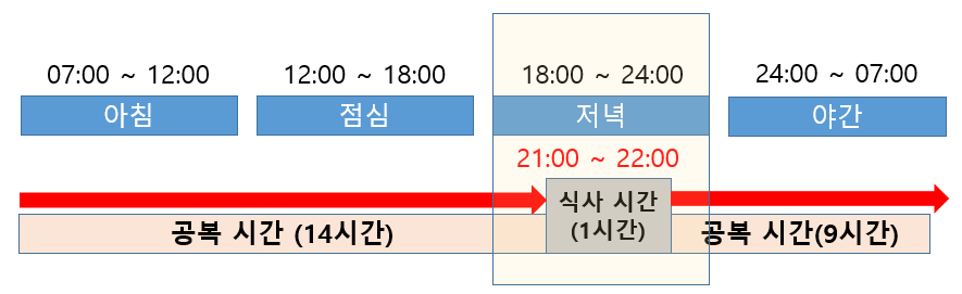  간헐적 단식 20Kg 감량 성공 (Q&A)