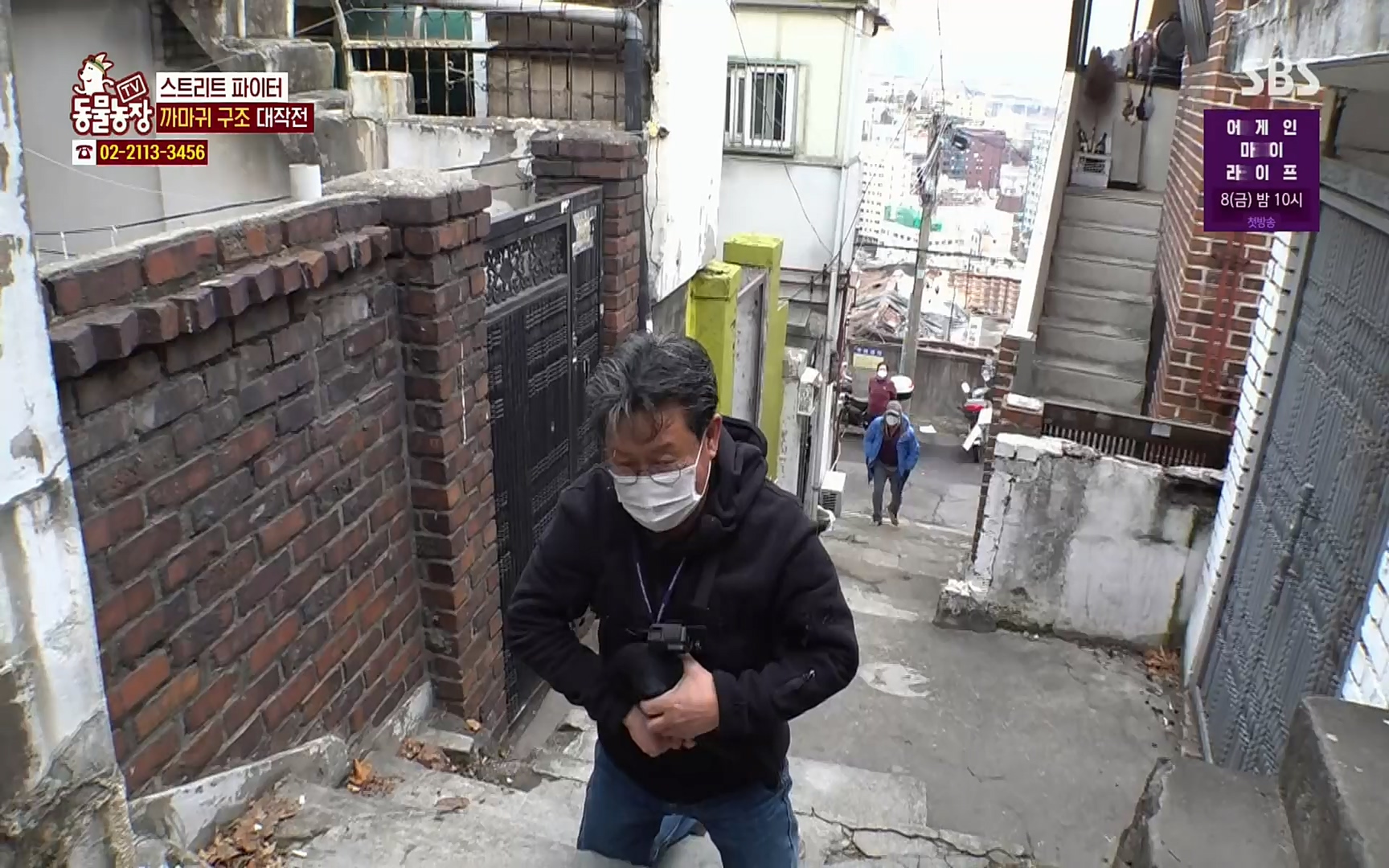 TV 동물농장.E1062.220327p.H264-F1RST.mp4_20220327_174444.249.jpg