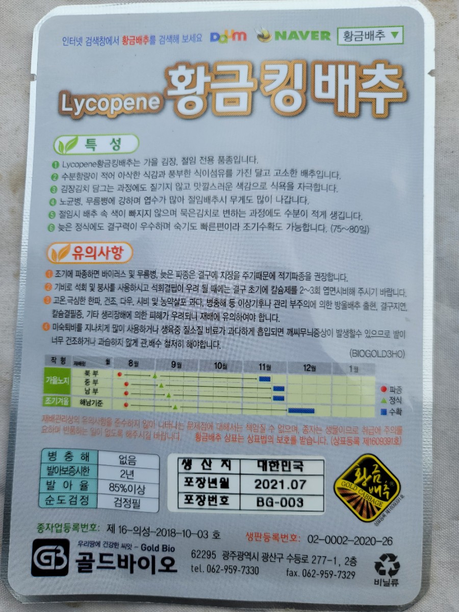 가을배추 가을 김장배추 심는시기는 언제가 12