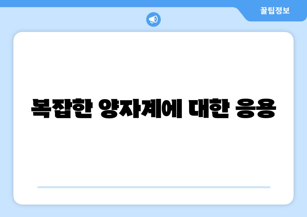 복잡한 양자계에 대한 응용