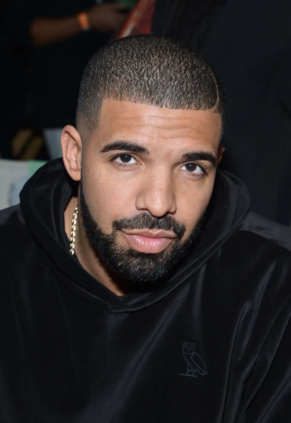 Drake 100 GIGS
