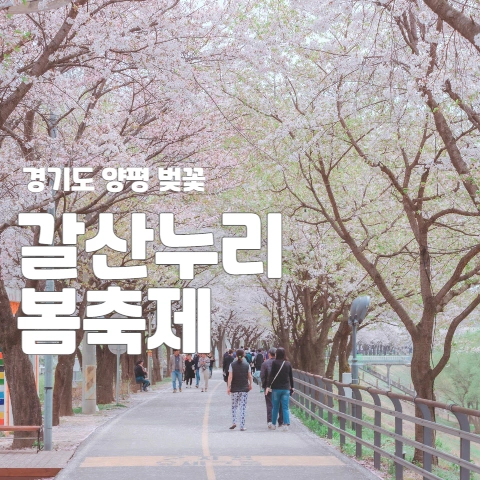  경기도 양평 벚꽃, 갈산누리봄축제