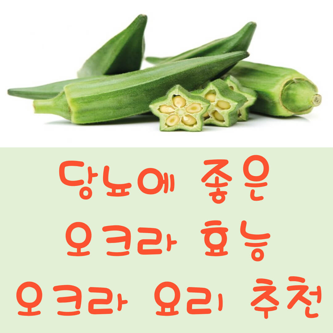 오크라 메인사진