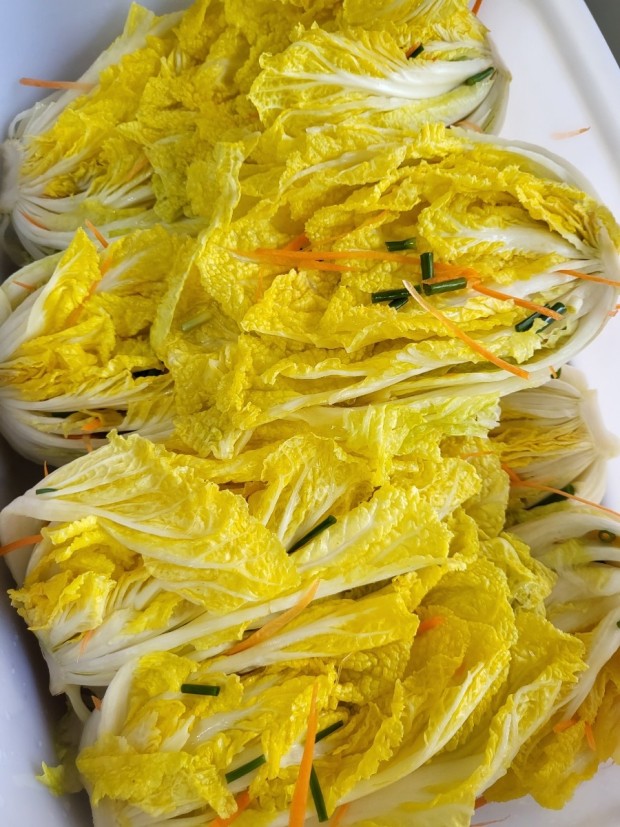 백김치
