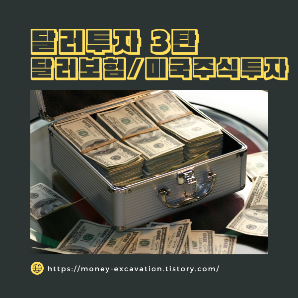 달러투자 방법 3탄
달러보험과 미국주식투자