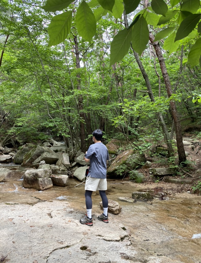 여름산으로 추천하는 괴산 칠보산(778m) 숲속을 거니는 듯 시원해 72