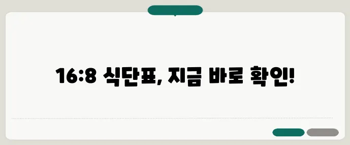16:8 간헐적 단식 직장인 맞춤 식단표 무료 배포합니다!