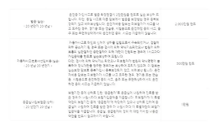 동부 운전자보험