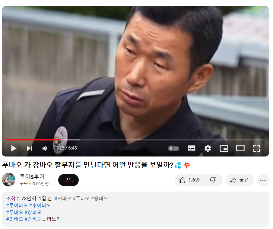 푸바오와 강할부지 만남?! 중국 간 강바오 사육사 동영상, 쌍둥바오 루이,후이 생일파티 인형, 굿즈