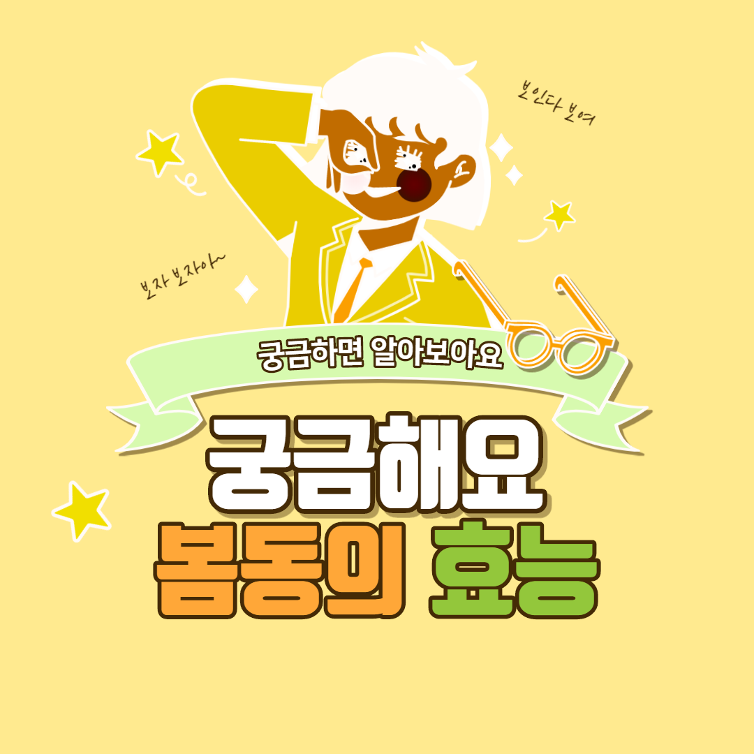  봄동의 효능 6가지