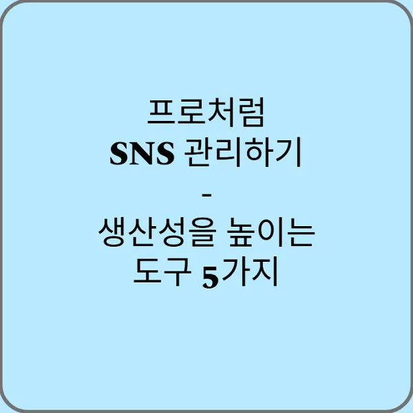 프로처럼-SNS-관리하기