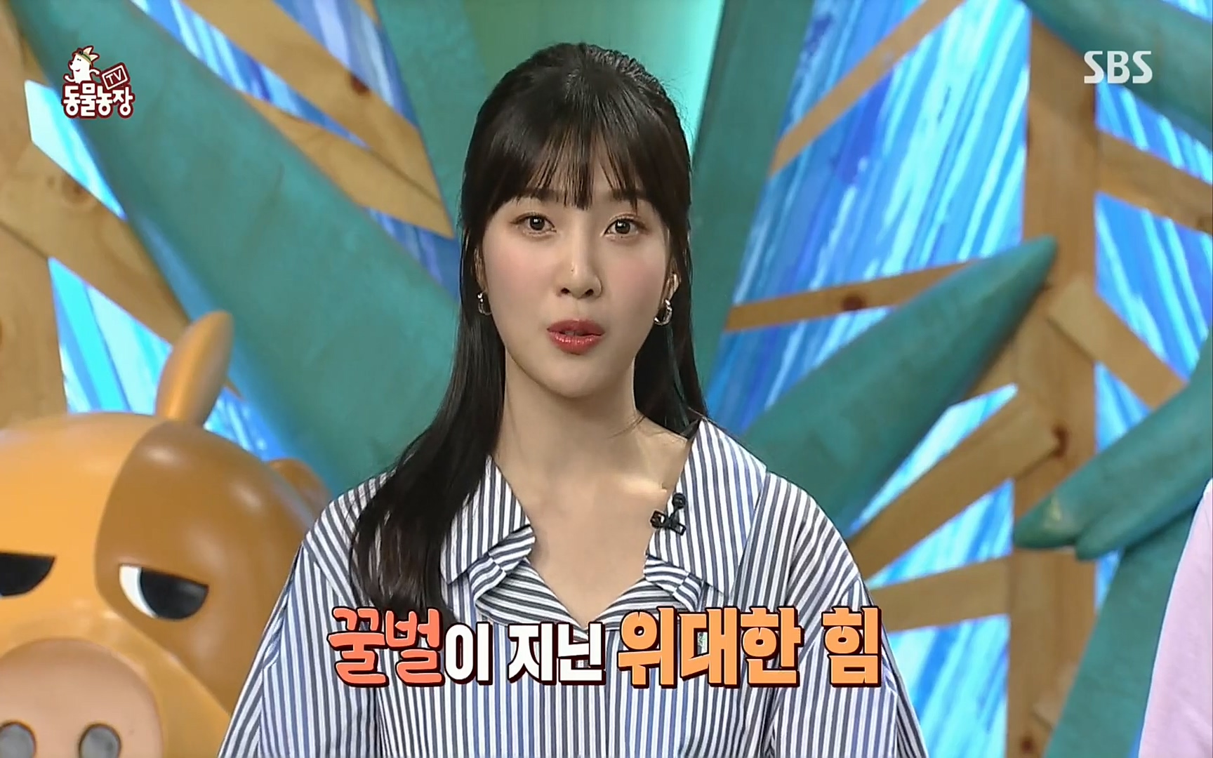 TV 동물농장.E1072.220605p.H264-F1RST.mp4_20220605_181329.966.jpg