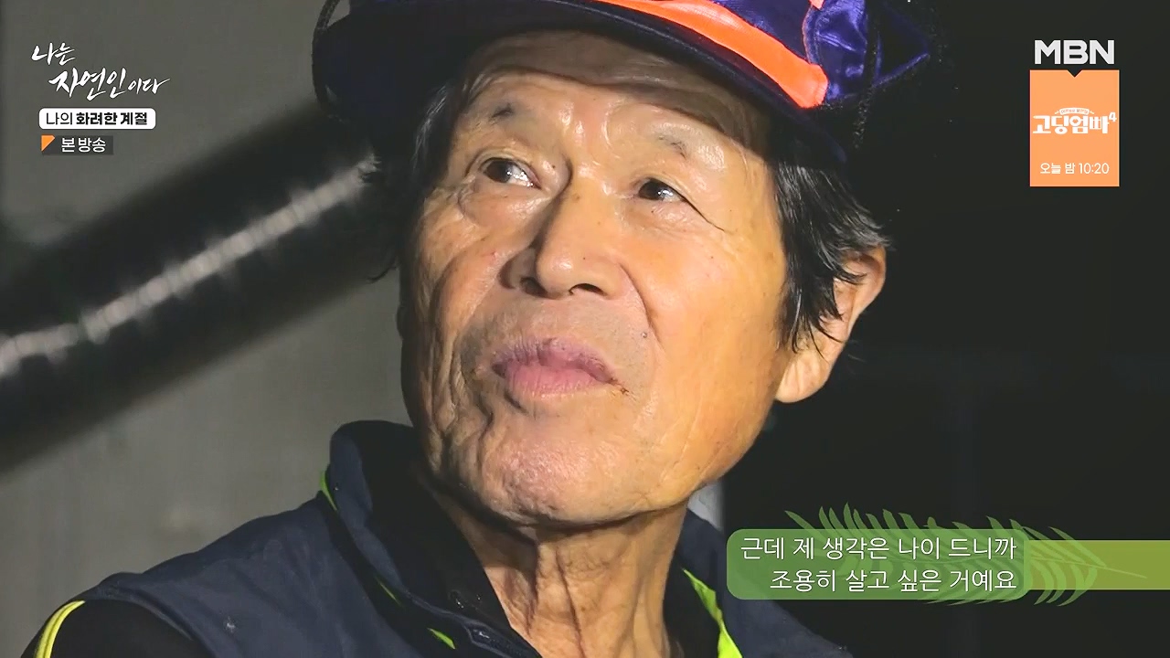 나는 자연인이다.E587.240104p-NEXT.mp4_20240104_195914.236.jpg