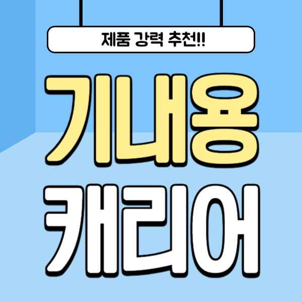 기내용 캐리어 추천 순위 비교 BEST 5