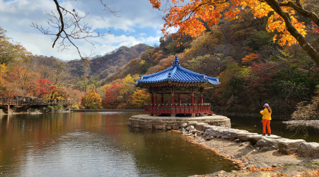 청풍호반 케이블카 요금할인 예약바로가기