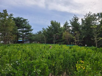 8월에 가볼만한 국내여행지