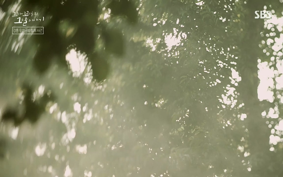 꼬리에 꼬리를 무는 그날 이야기.E38.220729p-NEXT.mp4_20220730_191115.352.jpg