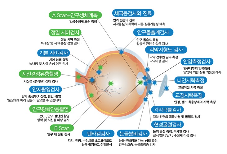  안압 검사, 안저 검사, 시야 검사