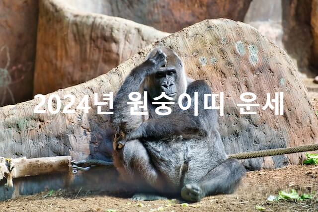 원숭이