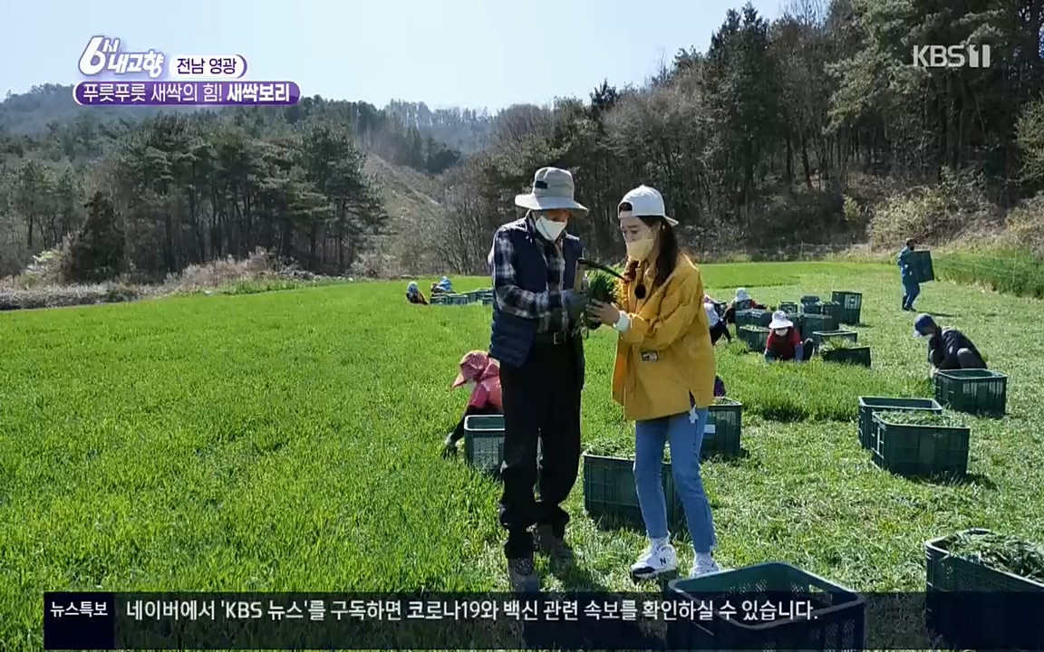 6시 내고향.E7510.220414p.H264-F1RST.mp4_20220419_185735.873.jpg