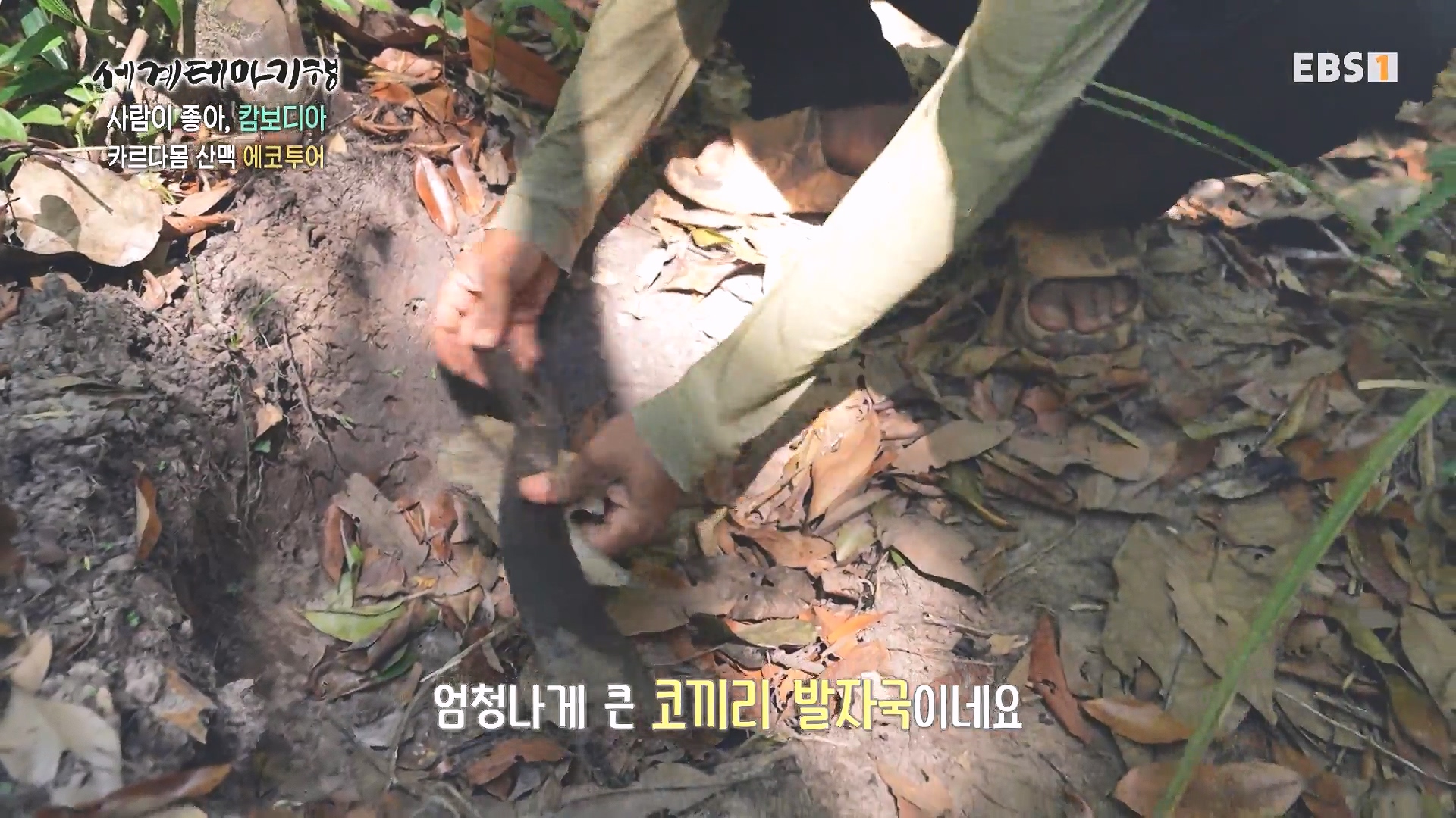 세계테마기행 240207 사람이 좋아, 캄보디아 -그 마을엔 행복이 산다0p.mp4_20240730_193509.083.jpg