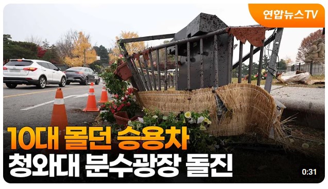 청와대 분수광장 10대 승용차 돌진