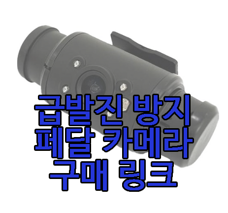 급발진 방지 카메라 링크