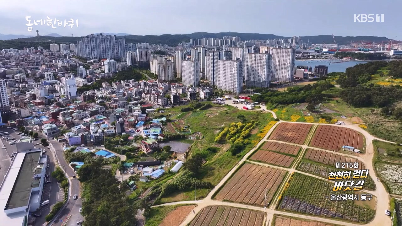 동네 한 바퀴.E278.240616p-NEXT.mp4_20240616_164332.626.jpg