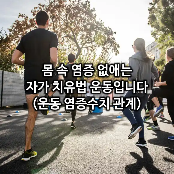 운동과 염증 수치 관계