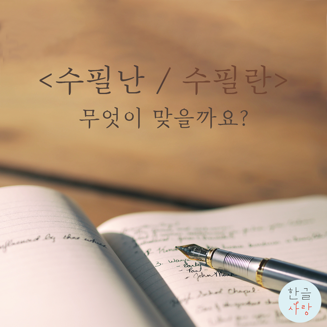  수필을 좋아하시나요?