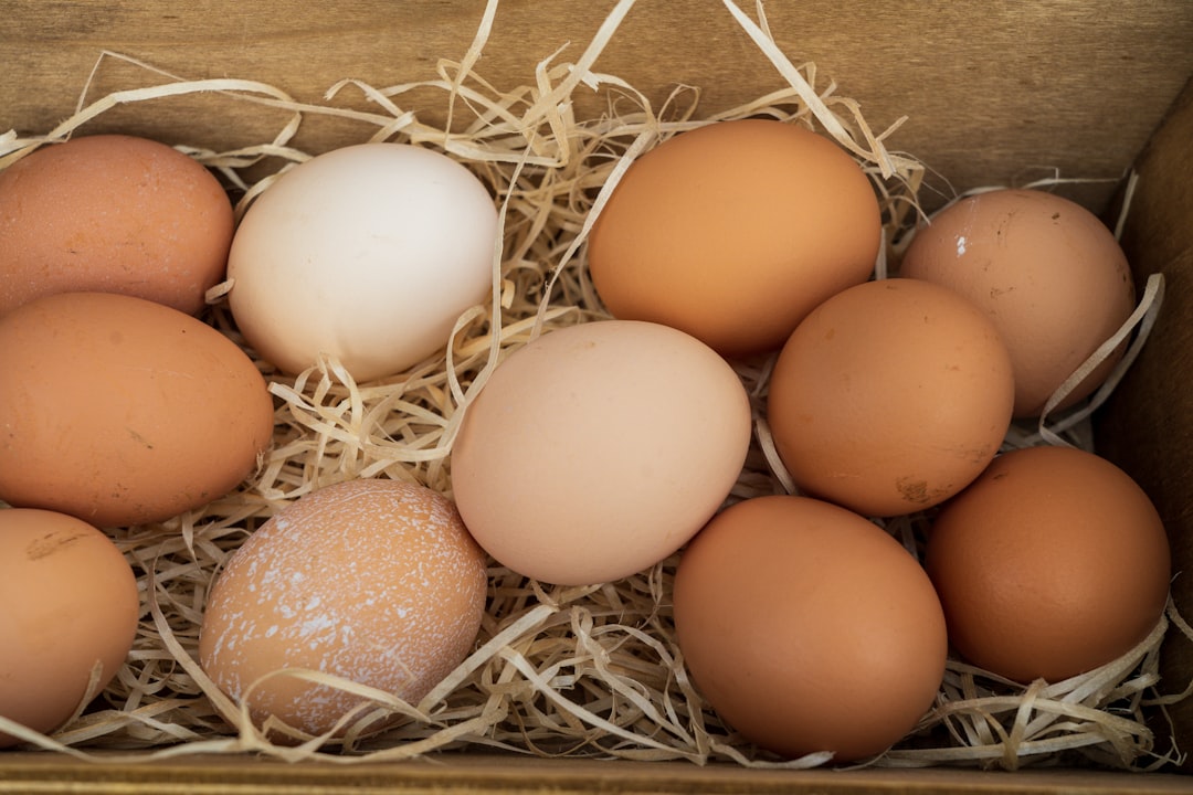 Eggs