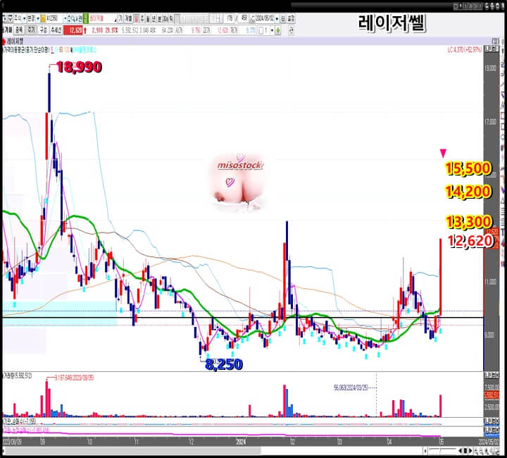 일-봉-차트