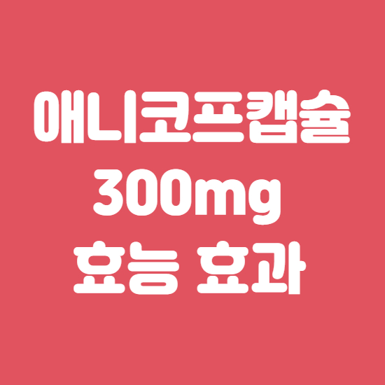  애니코프캡슐300mg 성분 및 효능 제대로 알고 복용하세요