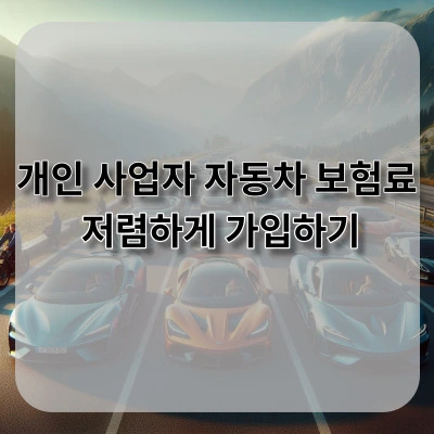 개인 사업자 자동차