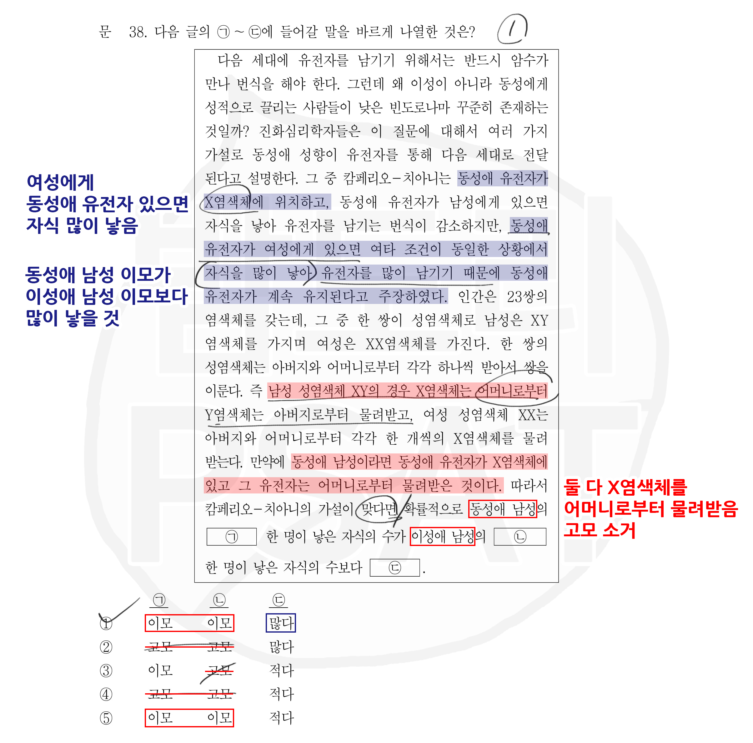 밤도리PSAT 이미지