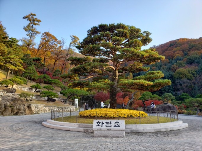  경기도 가볼 만한 곳 - 곤지암 화담숲 단풍놀이하기 좋은 곳